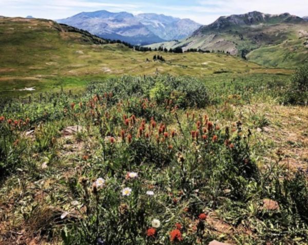 Hiking Aspen