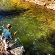 Aspen Fly Fishing