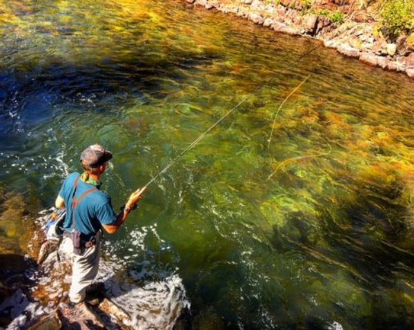 Aspen Fly Fishing