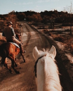 Two riders on horseback traverse a dirt road lined with beautiful Aspen, capturing a moment of nature's tranquility.