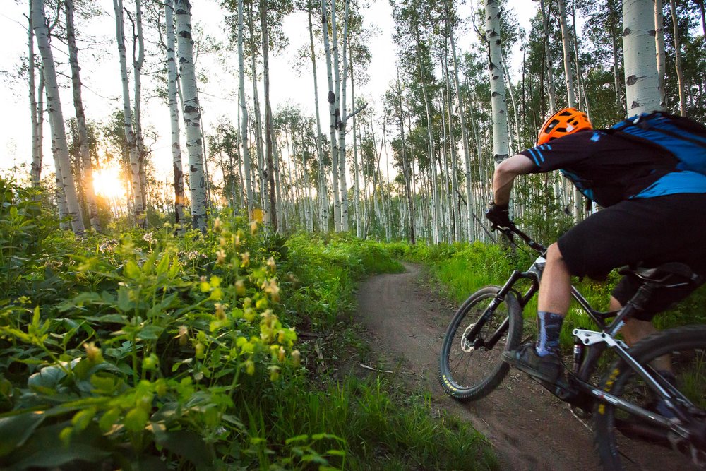 A man rides a mountain bike through the woods, showcasing outdoor adventure. 