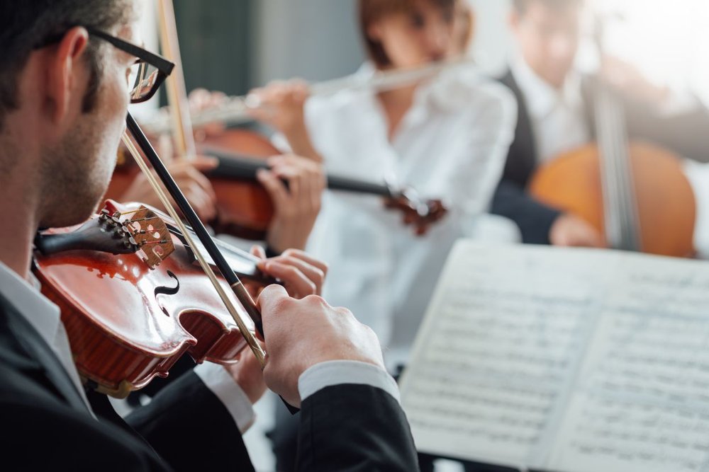 The violinist is reading the musical notes on the sheet music