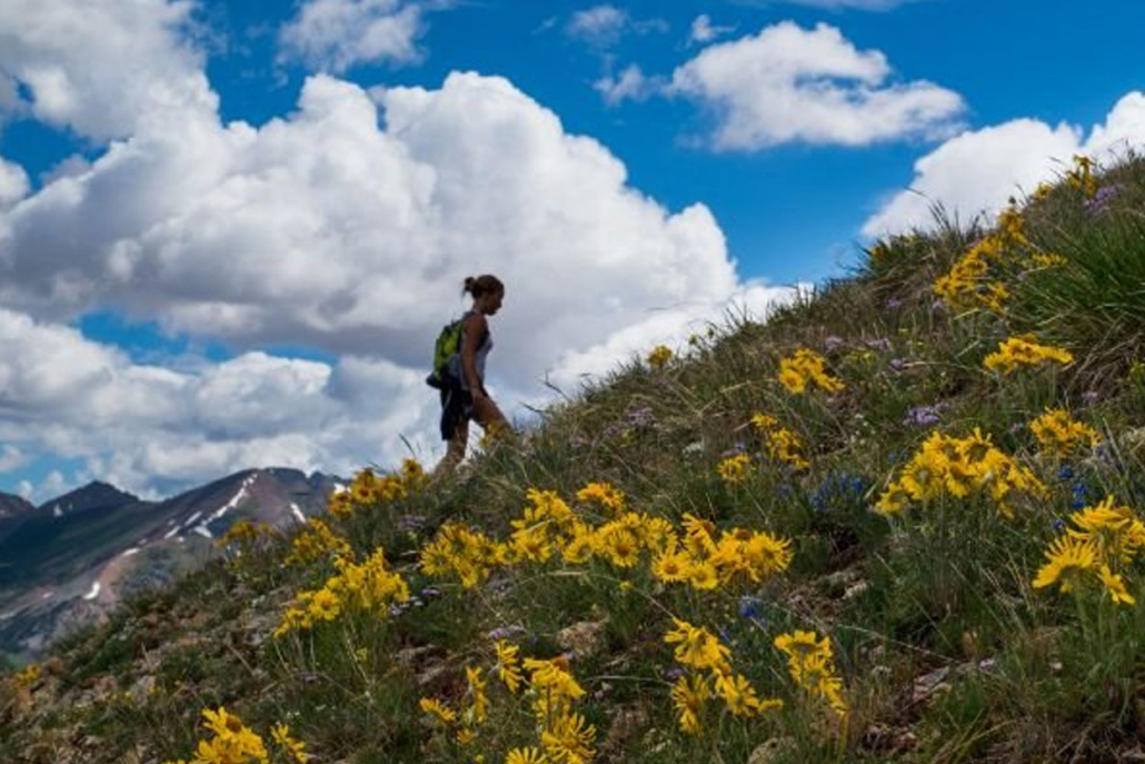 A girl hiking alone in the mountain surrounded by beautiful flowers and landscape.