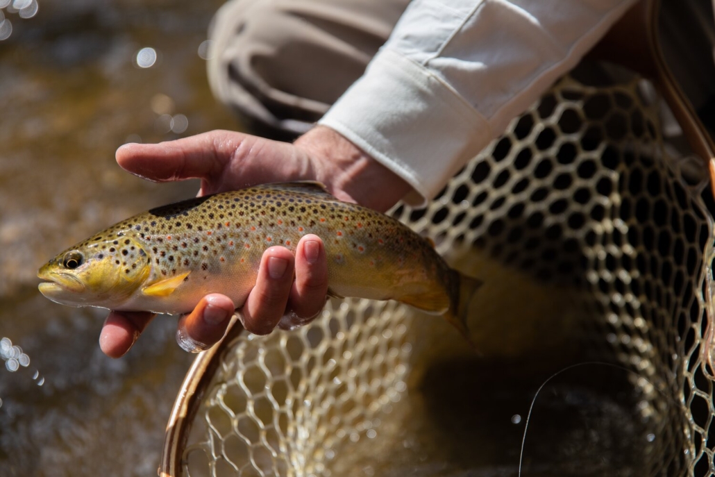 One of the Aspen experience during covid times is fishing on the clean river in Aspen