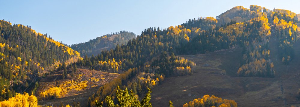 A vibrant mountain range adorned with colorful fall trees, reflecting the beauty of Aspen natures