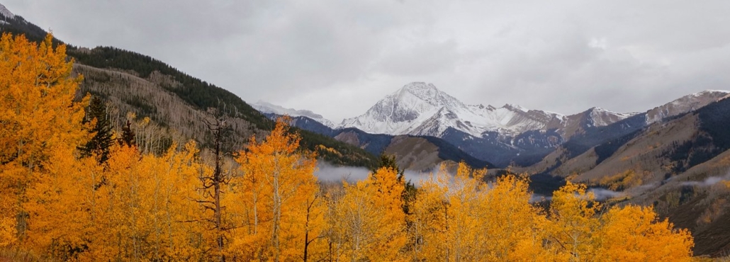 A majestic mountain range featuring lush trees and a prominent snowy peak in the background.