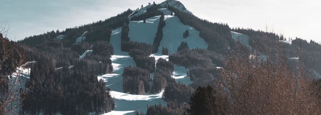 A snow-covered mountain with tall trees in the foreground, featuring a skier navigating the slopes.