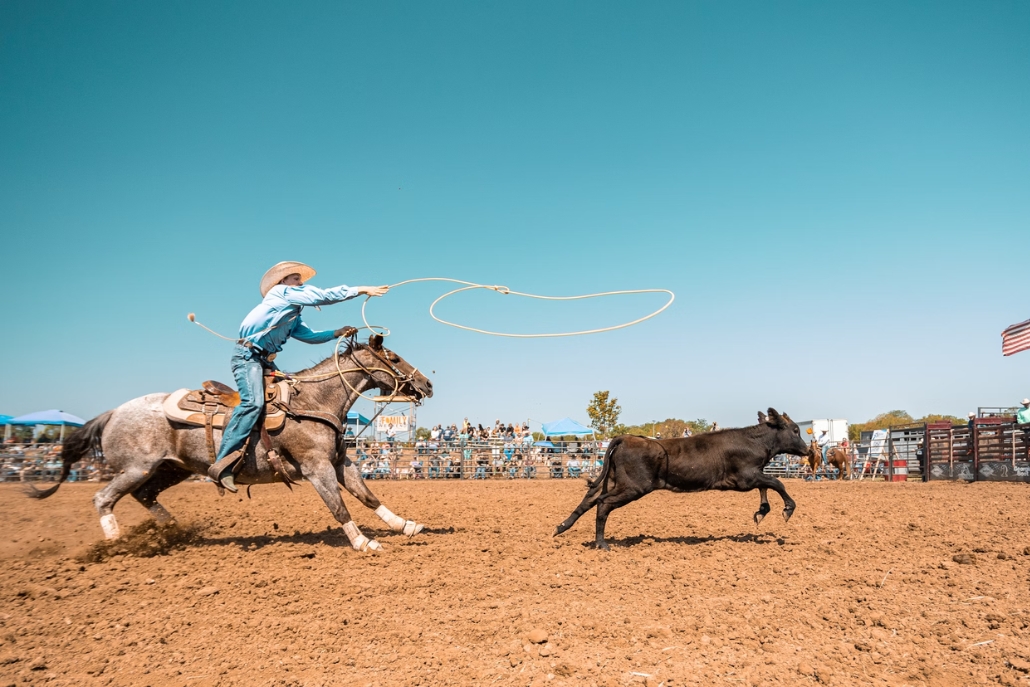 A cowboy rides a horse and throws a lasso at the Snowmass Rodeo, set in Snowmass Village, Colorado.
