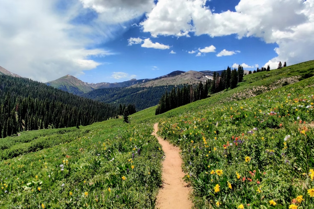 A beautiful mountain path on Conundrum Creek Trail, featuring an array of wildflowers at Aspen Trails.
