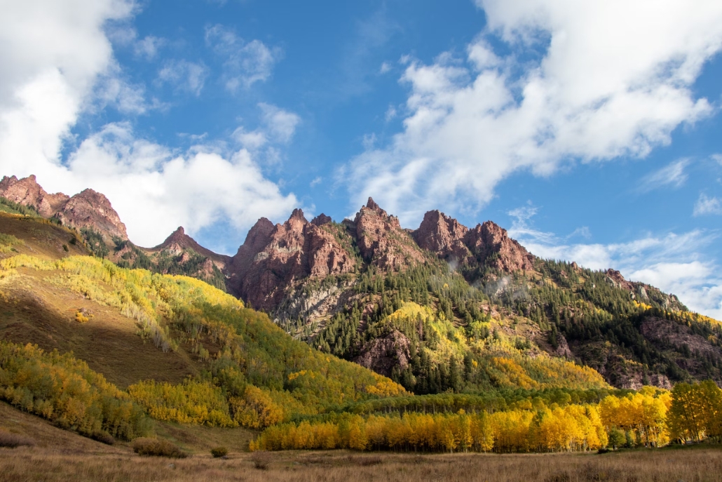 Colorful aspen trees in full fall foliage line the Four Pass Loop in Colorado's Aspen Mountains, creating a picturesque landscape.