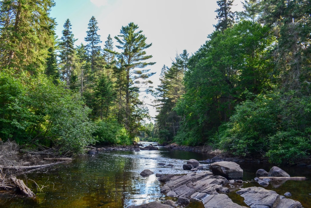 A tranquil river bordered by trees and rocks, featuring the Sunnyside & Shadyside Aspen Trails.