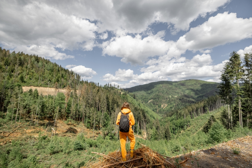 A man in an orange jacket stands atop a mountain at UTE Trail, surrounded by breathtaking natural scenery.