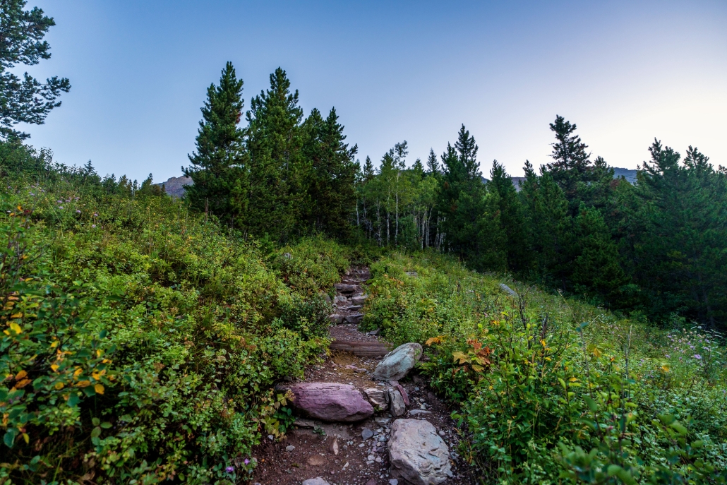A picturesque trail in the mountains, the West Maroon Trail on Aspen Trails, lined with rocks and blooming flowers.