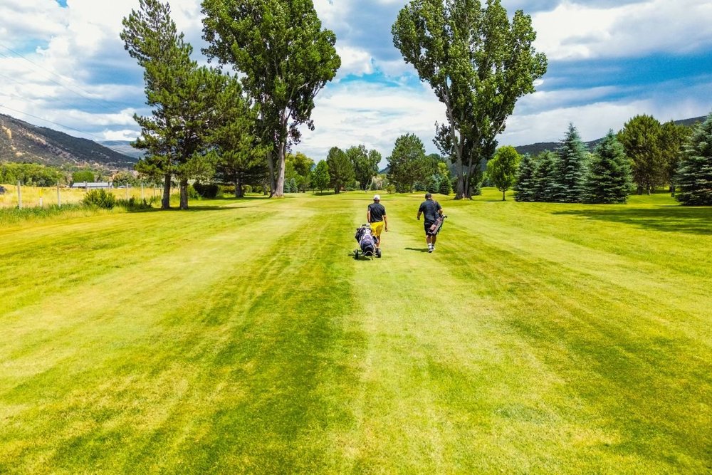 Two golfers walking down the lush green fairway of a golf course