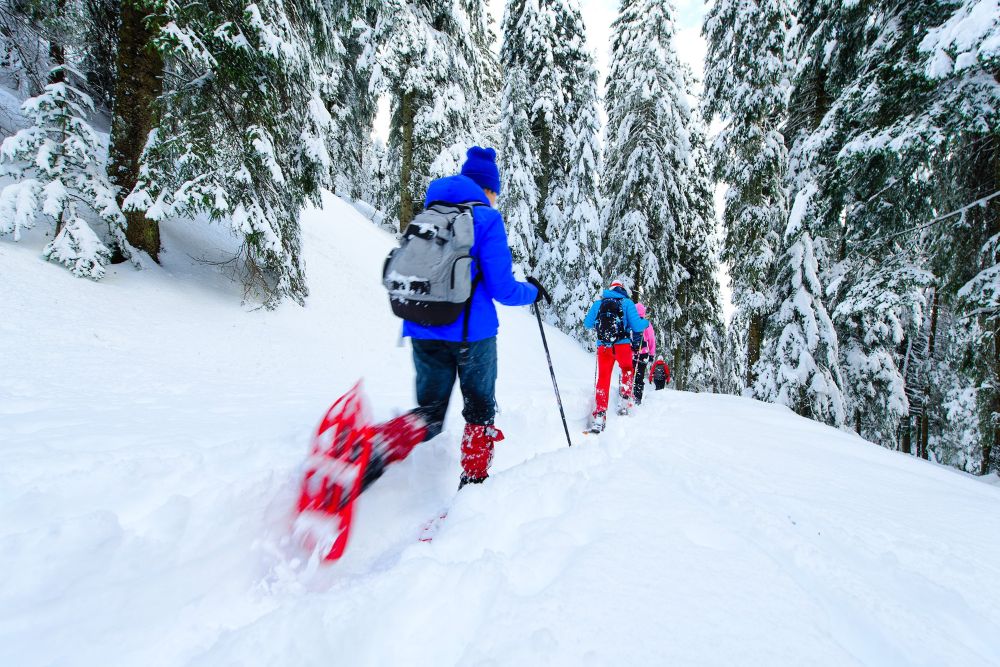 A group of skiers ascends a snowy hill, enjoying a winter day in Aspen mountains.