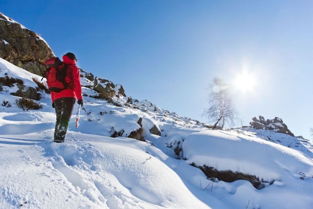 A man wearing a red jacket hikes up a snowy slope, embodying the spirit of winter outdoor activities.