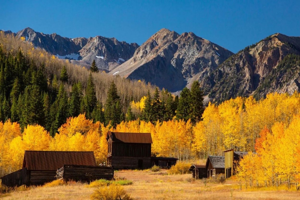 Vibrant fall colors of aspen trees adorn the Colorado mountains, showcasing a stunning autumn landscape.