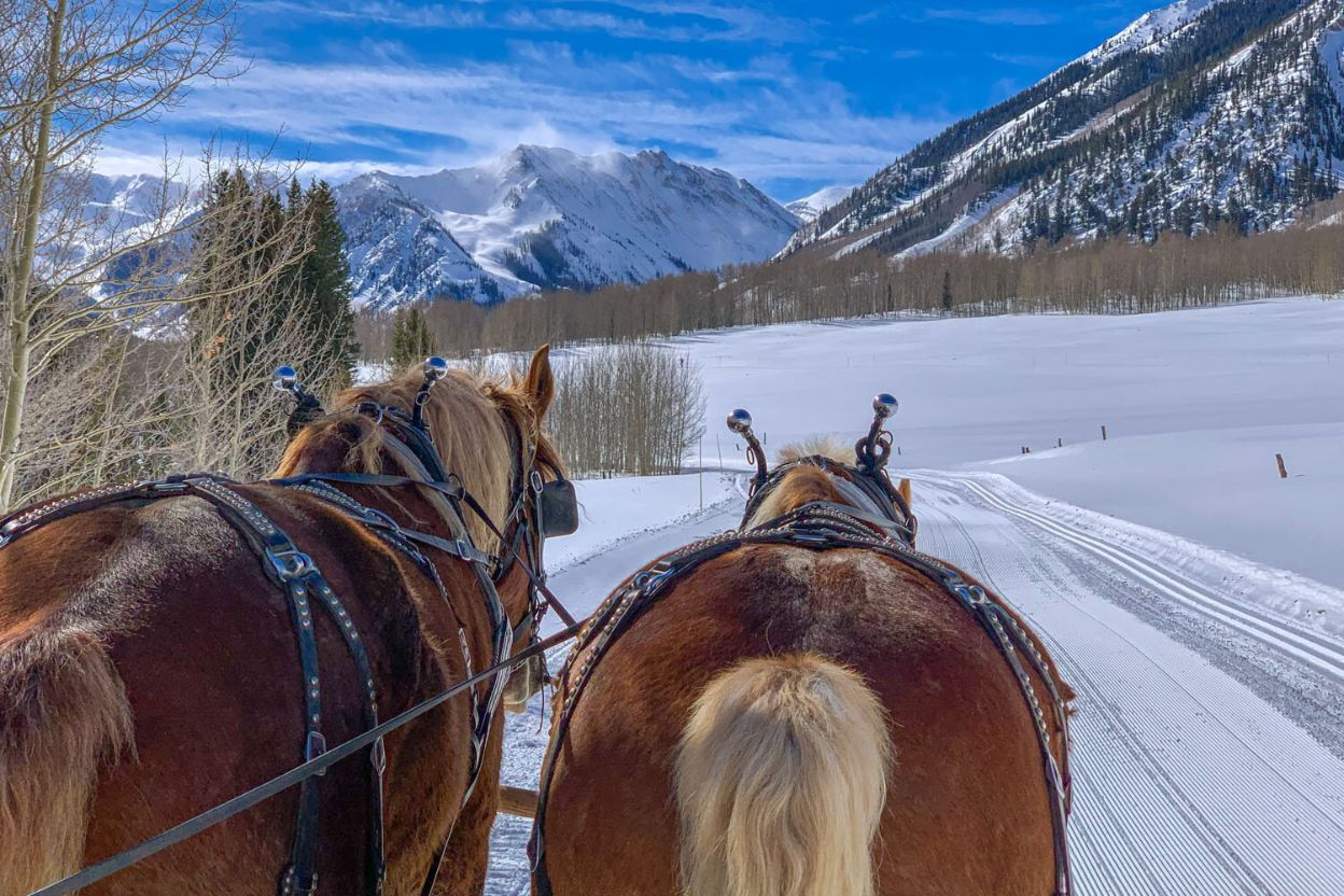 Two horses gracefully pull a sleigh through the snowy landscape, showcasing a picturesque sleigh ride in Aspen.