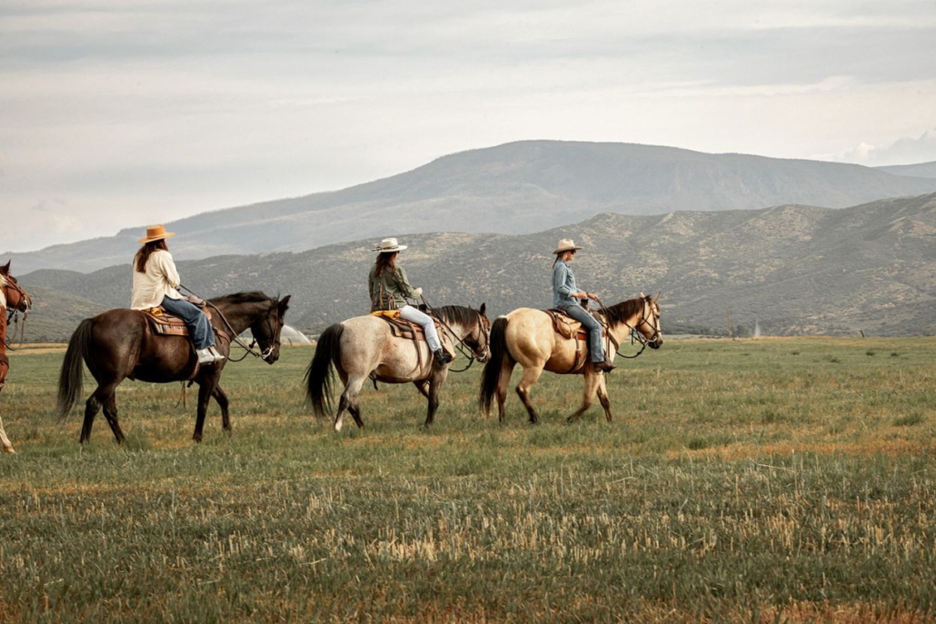 A scenic view of three riders on horseback traversing a lush field in Snowmass in the summer, highlighting the beauty of nature.