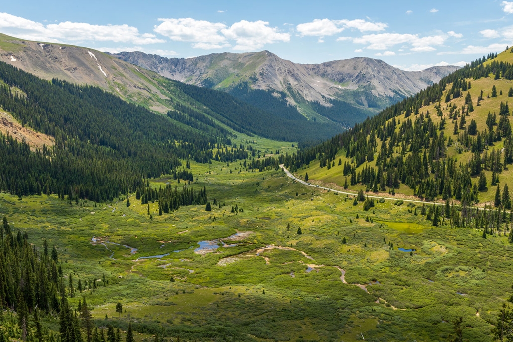 Scenic view of a lush green valley with trees, showcasing the beauty of Aspen while driving at Independence Pass.