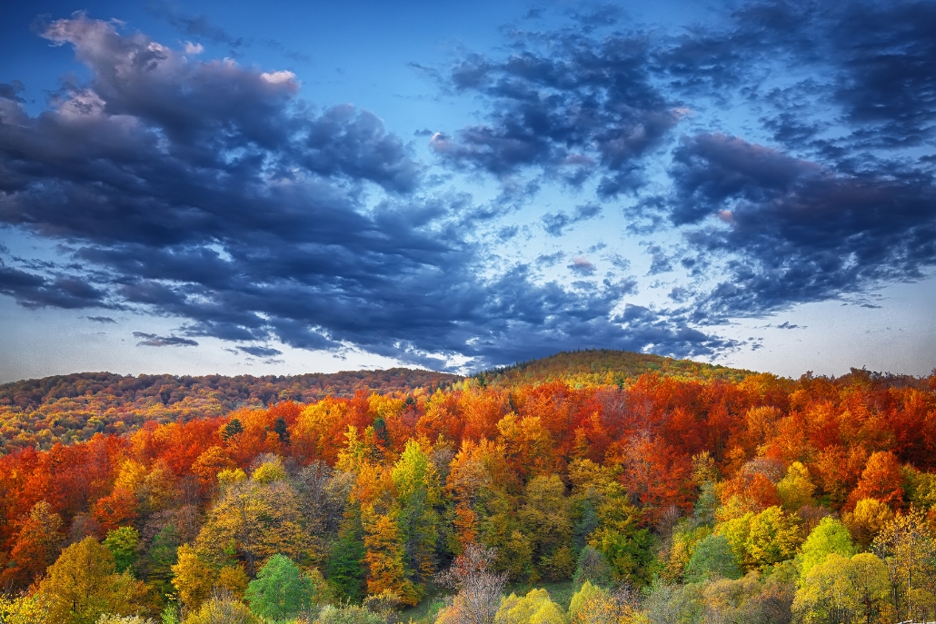 Scenic view of autumn trees in the mountains with clouds above, capturing the essence of Aspen's October fall foliage.