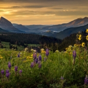 Aspen to Crested Butte Hike