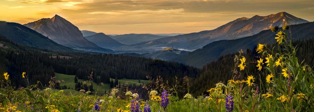 Scenic mountain view with wildflowers in the foreground, showcasing vast green valleys and towering peaks under a vibrant sky.