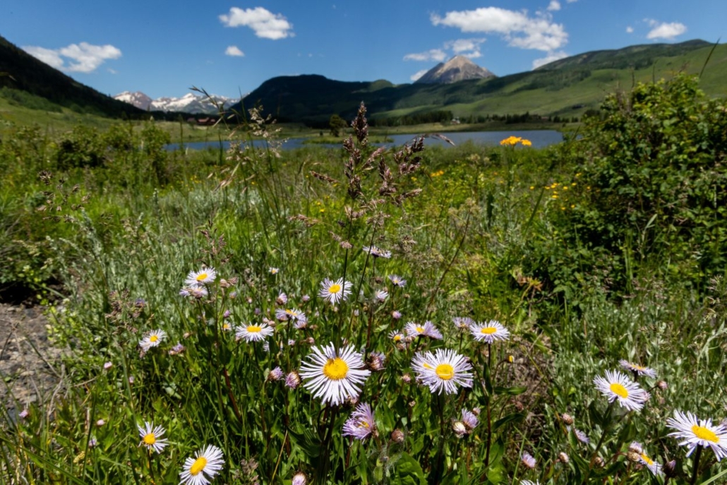 Wildflowers in the foreground with a stunning mountain backdrop and a peaceful lake, capturing the serene beauty along the Aspen to Crested Butte hike.