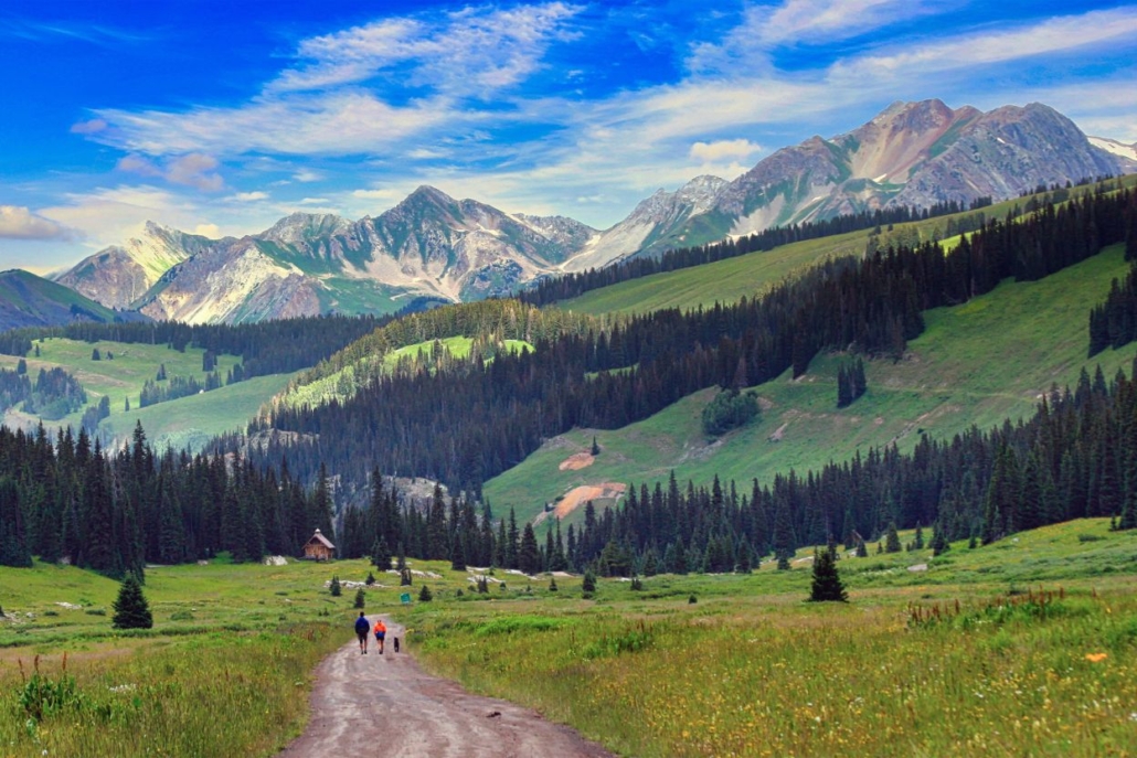 Two hikers and a dog walking along a dirt trail through lush green meadows, with towering mountains in the background under a clear blue sky.