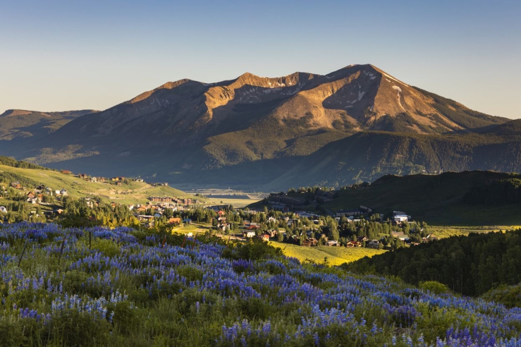 Wildflowers in the foreground with a scenic view of the mountains and a small town below, highlighting the breathtaking landscape along the Aspen to Crested Butte hike.