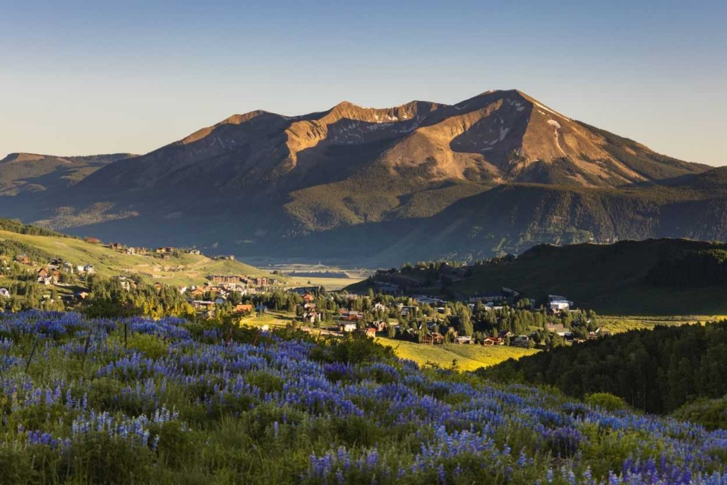 Wildflowers in the foreground with a scenic view of the mountains and a small town below, highlighting the breathtaking landscape along the Aspen to Crested Butte hike.