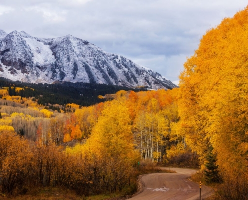 Aspen in Fall