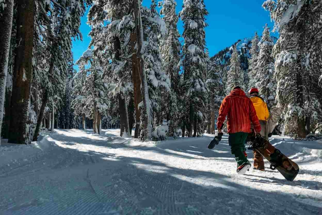 Two snowboarders walking through a snow-covered forest trail beneath blue skies, heading toward the slopes at Aspen or Snowmass.