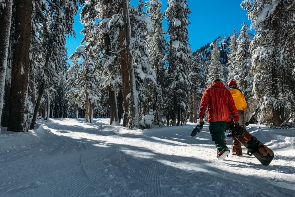Two snowboarders walking through a snow-covered forest trail beneath blue skies, heading toward the slopes at Aspen or Snowmass.