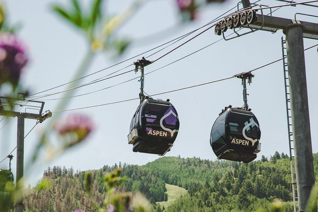 Scenic gondola cabins ascending Aspen Mountain with cables overhead and blurred flowers in the foreground.