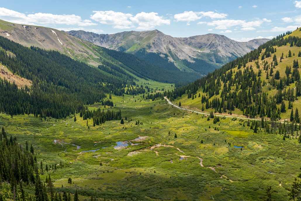 Scenic view of a lush green valley with trees, showcasing the beauty of Aspen while driving at Independence Pass.