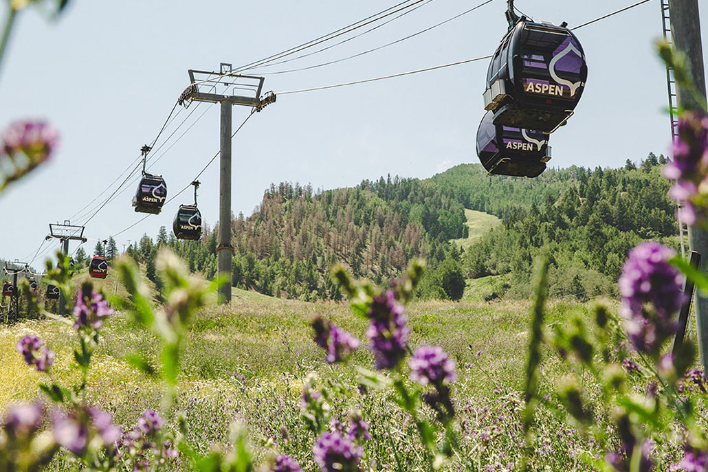 Summer Vacation in Aspen