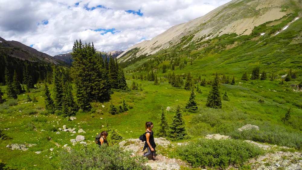 Two hikers exploring a mountain trail surrounded by lush green meadows and pine trees in Aspen, Colorado.